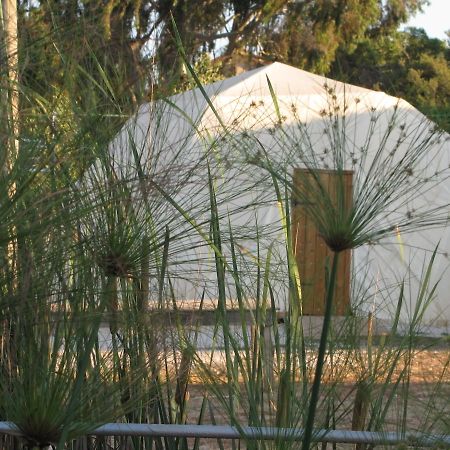 Yarok Az - Ecolodge Farm Ilaniya Pokoj fotografie