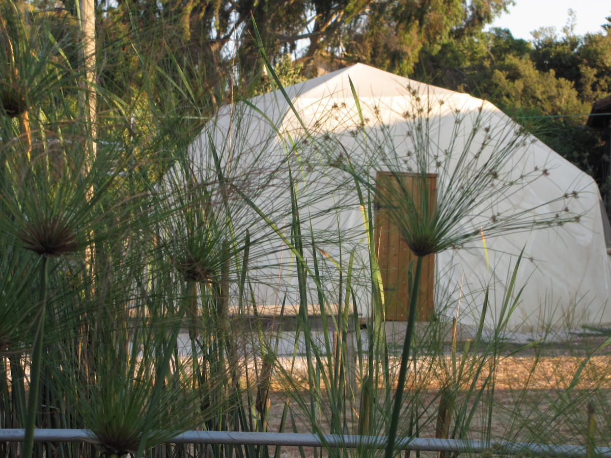 Yarok Az - Ecolodge Farm Ilaniya Pokoj fotografie