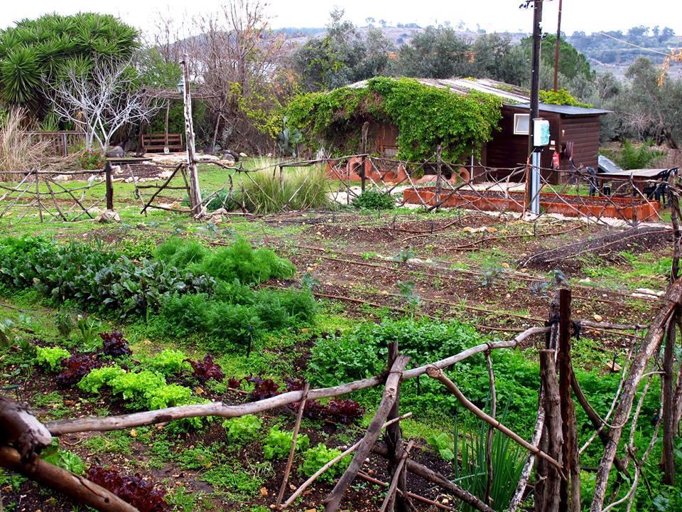 Yarok Az - Ecolodge Farm Ilaniya Exteriér fotografie